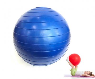 Mini Anti-Burst Gym Ball