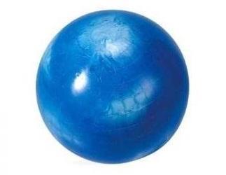 Earth Gym Ball