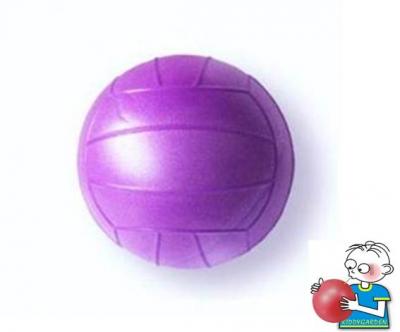 Inflatable Volleyball